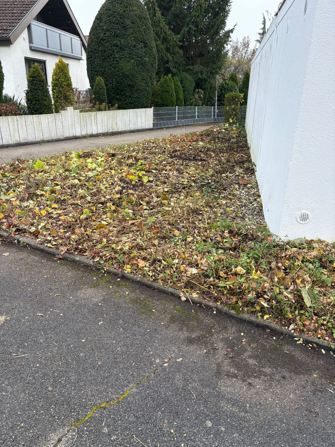 Gartenbau Brandenburg - Gartenarbeit