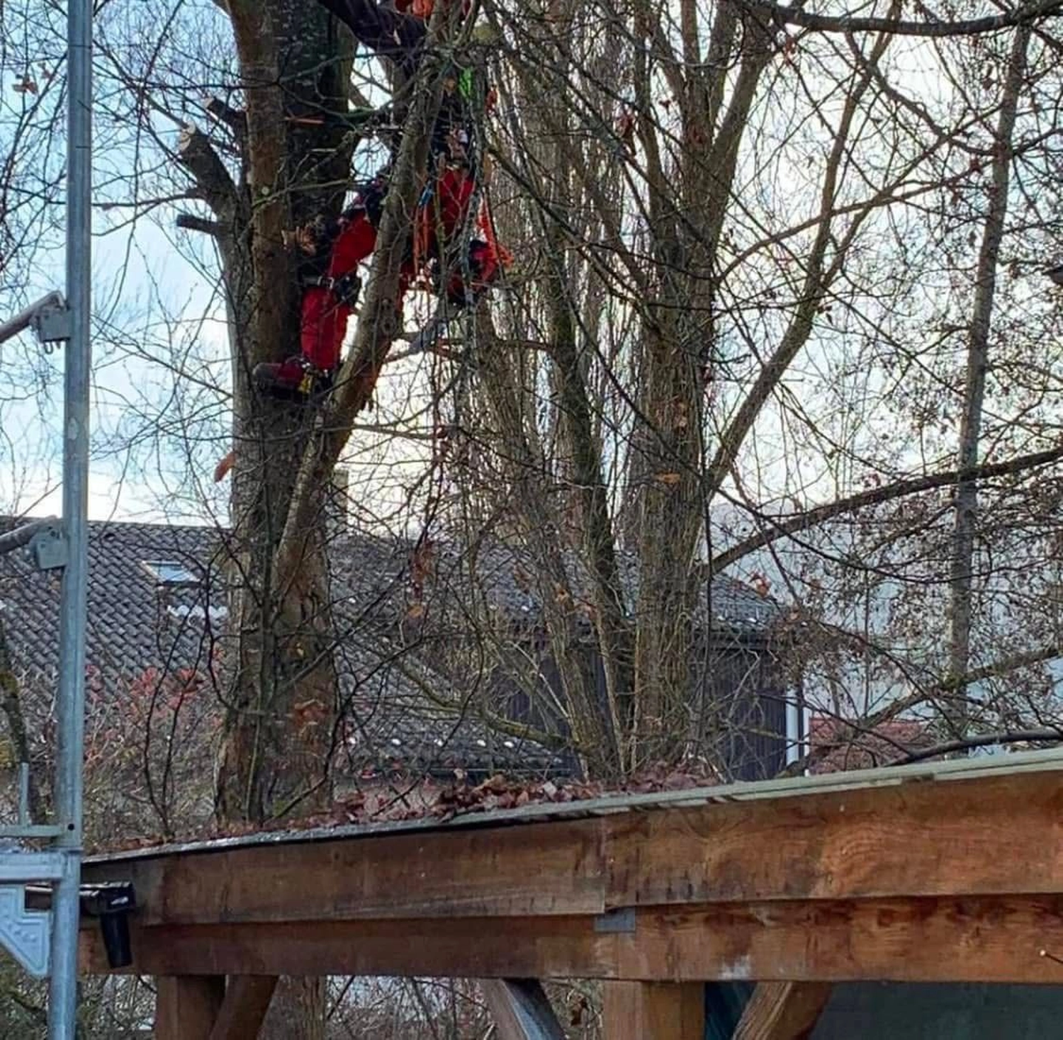 Gartenbau Brandenburg - Gartenarbeit