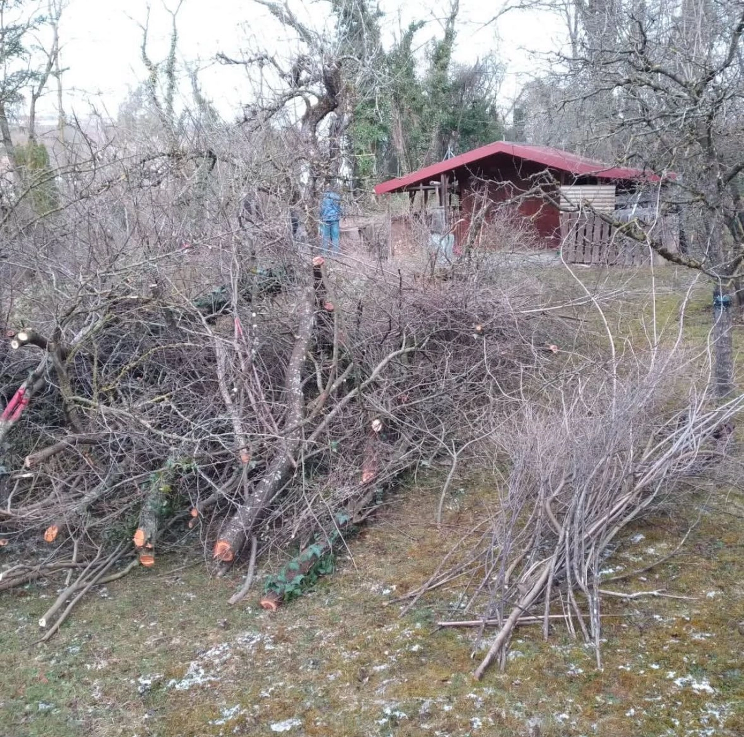 Gartenbau Brandenburg - Gartenarbeit