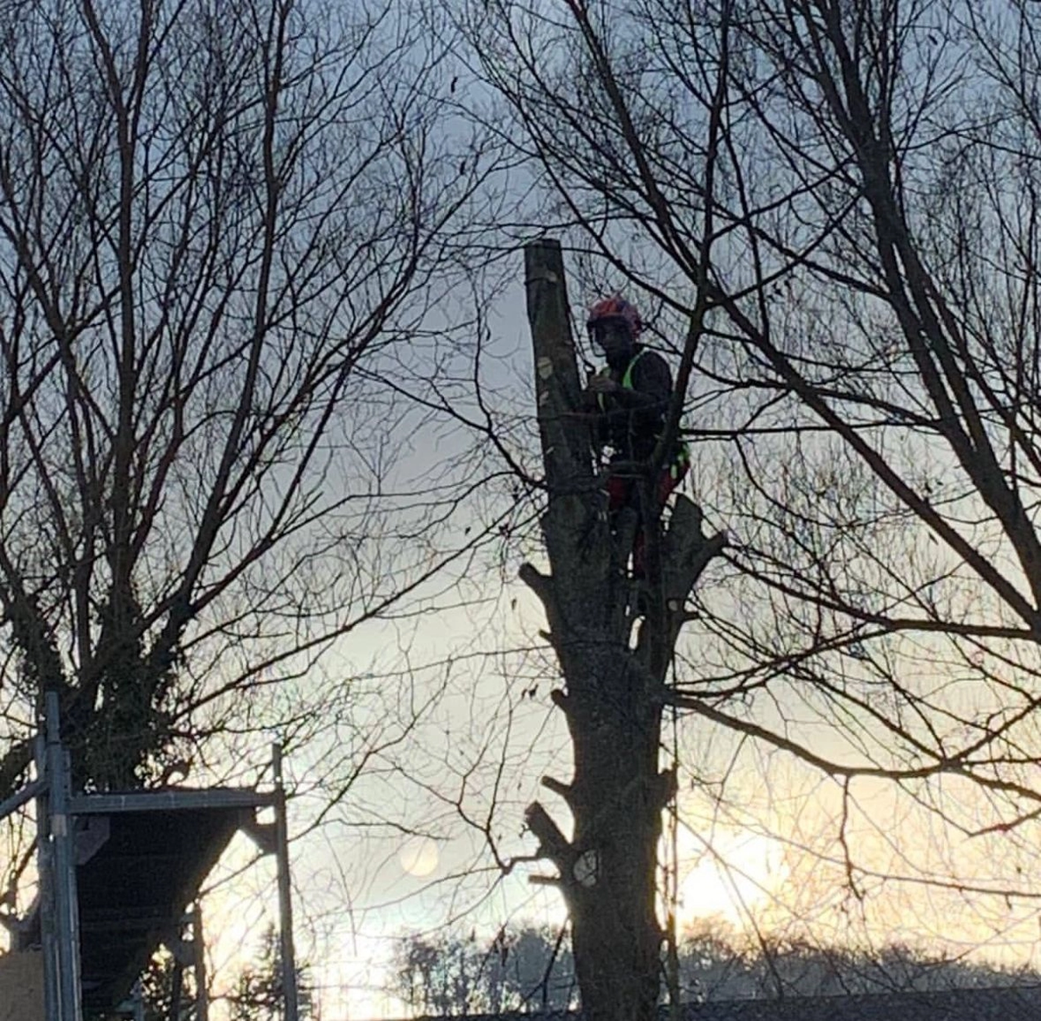 Gartenbau Brandenburg - Gartenarbeit