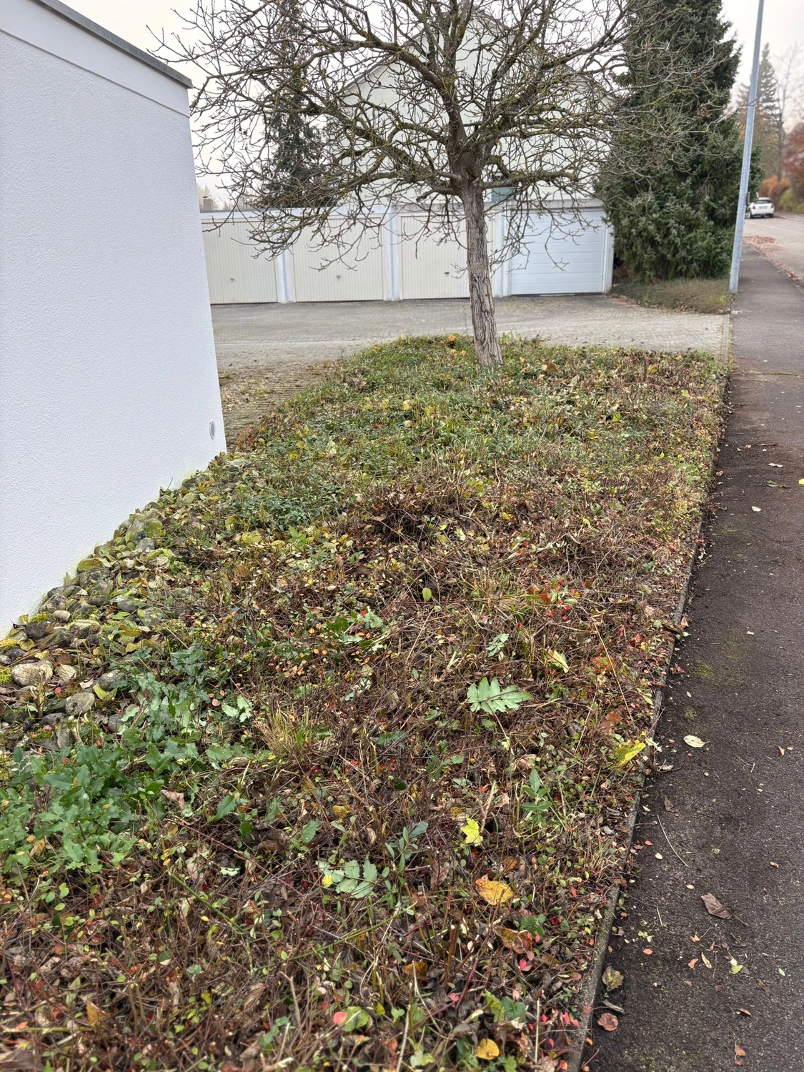 Gartenbau Brandenburg - Gartenarbeit